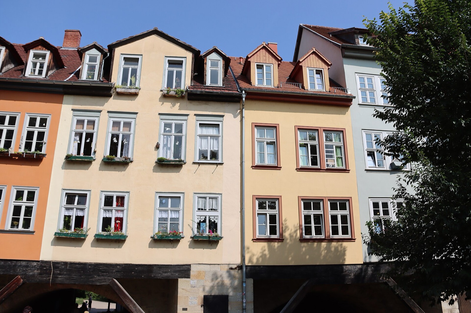 Historische Wohnhausfassaden mit Mansarddächern und Gauben in der Erfurter Altstadt vor blauem Himmel.